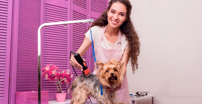 5 erros que todo profissional pet precisa evitar