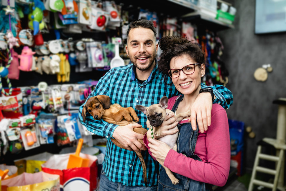 A importância do networking e das parcerias estratégicas no mercado pet