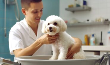 Matizadores para pets de pelagem branca: aprenda a aplicar sem deixar manchas