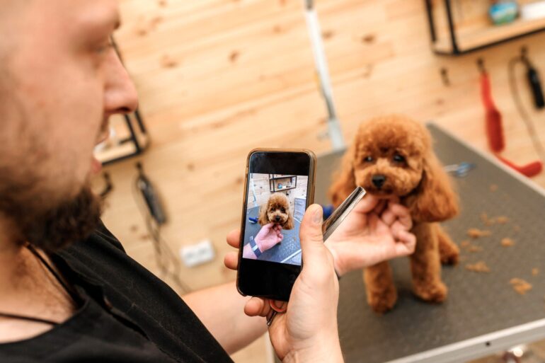 A importância da fotografia no segmento pet care