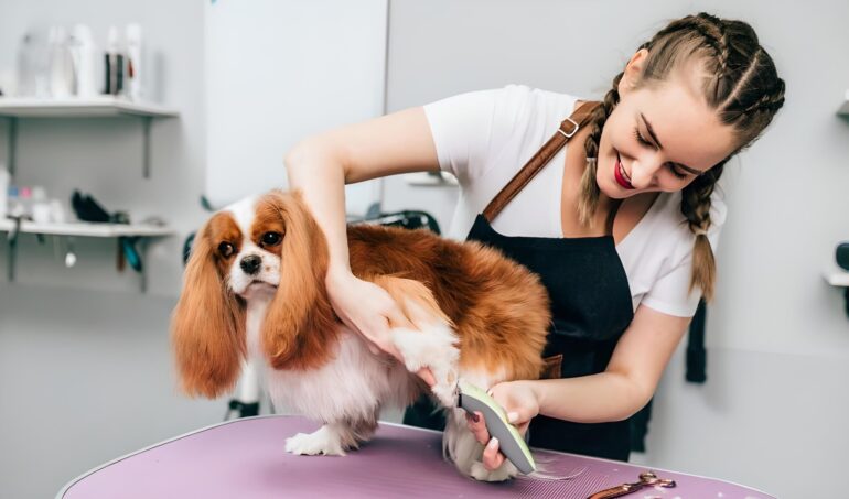 A importância dos aparadores de unhas no trabalho do groomer