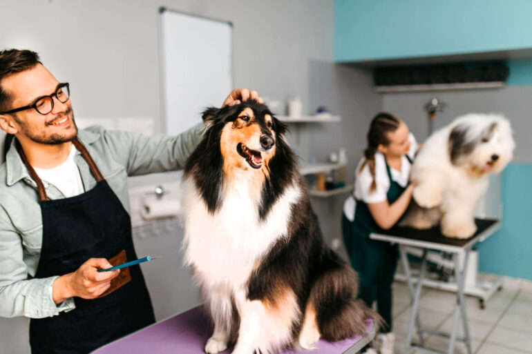 Perguntas que todo groomer deve estar preparado para responder