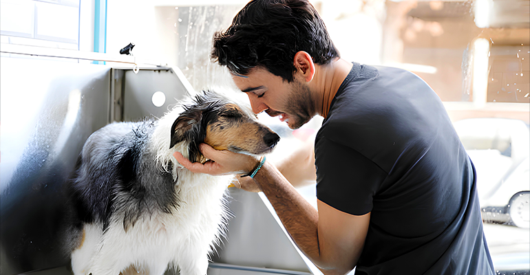 Groomer saudável, pet feliz: a importância do bem-estar profissional para uma carreira longa e próspera!