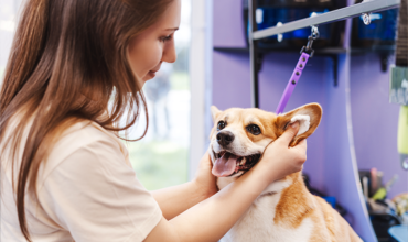 Muito além do banho: o papel do groomer na saúde e bem-estar dos pets